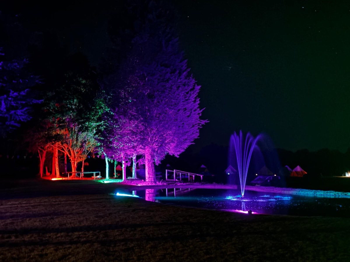 A tree lit blue beside the fountain at night