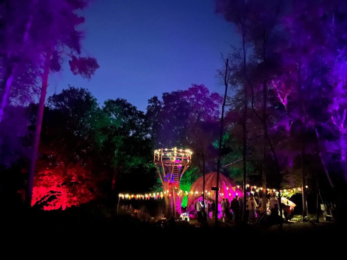 The woods lit in purple and green at night, with the treehouse tower glowing